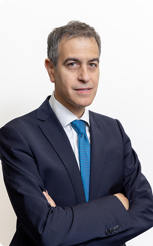 Stefano Taioli Chief Executive Officer
